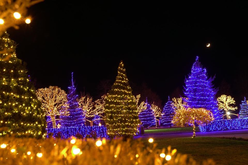Ndizen dritat e Krishtlindjes në fshatin Pjetërshan (FOTO) - Magazina - Mobile - KosovaPress